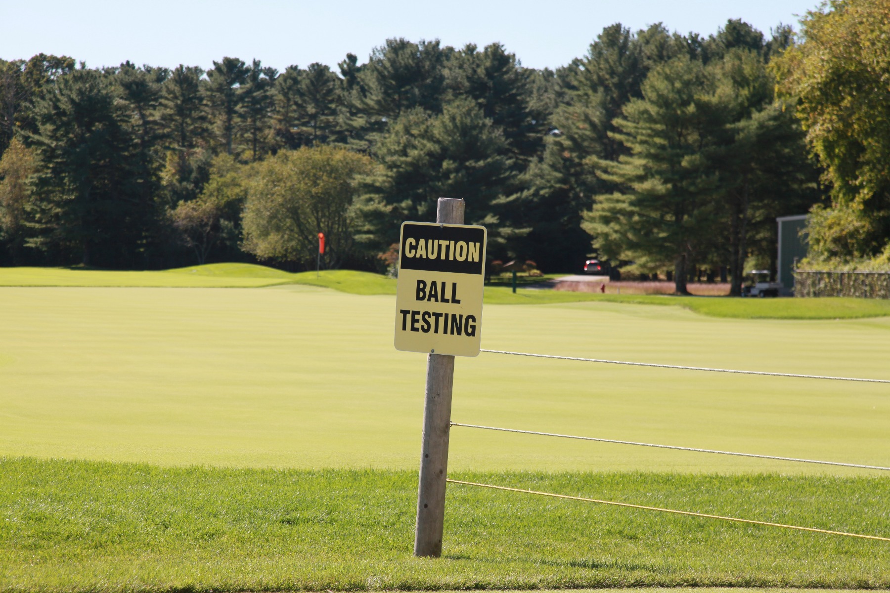 …followed by golf ball fitting.